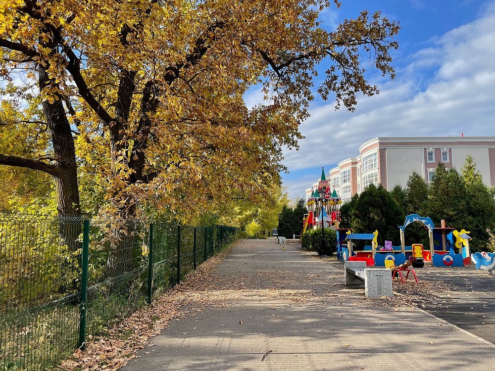 Дорога осенью вдоль леса, октябрь